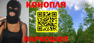 шишки Партизанск