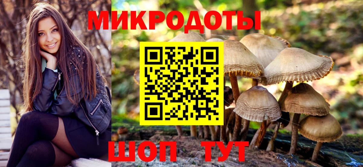 Псилоцибиновые грибы прущие грибы Ревда